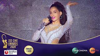 Zee Cine Awards 2020 [upl. by Gipsy]