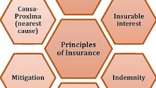 CLASS 11 II COMMERCE II BST II PRINCIPLE OF INSURANCE [upl. by Anoli381]