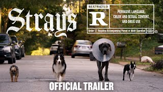 Strays  Official Fing Trailer HD [upl. by Yhtomit]