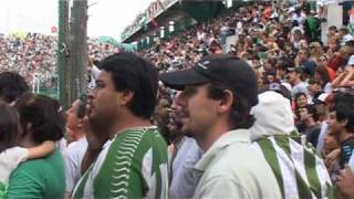 REACTION Banfield campeón [upl. by Llesig66]