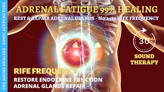 Adrenal Fatigue ➤ Adrenal Healing amp Repair ➤ Adrenal Exhaustion RIFE Frequency ➤ Sound Therapy [upl. by Adekahs]