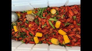 CRAWFISH season  Crawfish Đầu Mùa [upl. by Eceinehs]