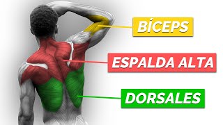 Rutina INTELIGENTE de ESPALDA y BÍCEPS de CALISTENIA [upl. by Ranee]