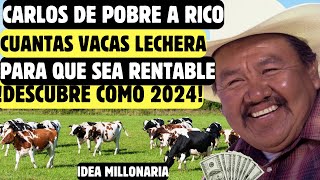 CUANTAS VACAS LECHERAS MINIMO NECESITAMOS PARA QUE UNA PEQUEÑA LECHERIA SEA EFICIENTE Y RENTABLE [upl. by Enoed]