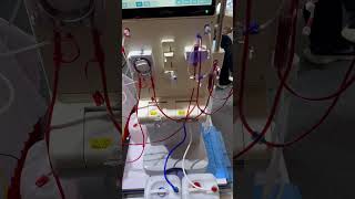 Hemodialysis CRRT procedure [upl. by Aitam]