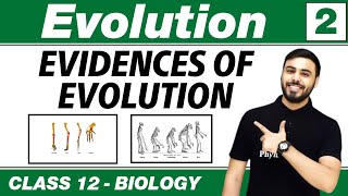 Evolution 02  Evidences of Evolution  Class 12 NCERT [upl. by Sadler]