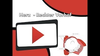 Herz  Rechter Vorhof clipdocsde [upl. by Hump]