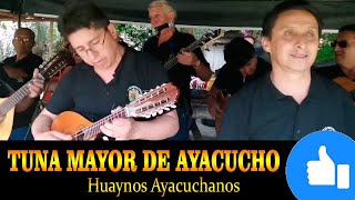 🔴 Popurri de 𝗛𝗨𝗔𝗬𝗡𝗢𝗦 𝗔𝗬𝗔𝗖𝗨𝗖𝗛𝗔𝗡𝗢𝗦 ⭐ con la Tuna Mayor de Ayacucho [upl. by Fawna]