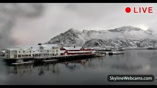 Amazing live webcam from the Lofoten Islands  Norway [upl. by Iek521]