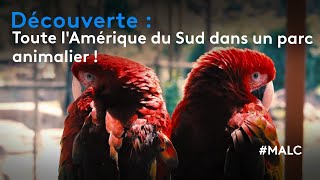 Découverte  toute lAmérique du Sud dans un parc animalier [upl. by Ahsinauq]