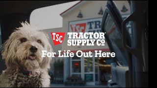 Life with Pets  No Two Days Are the Same farmanimals petlover petsupplies [upl. by Lanna]