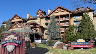 BEARSKIN LODGE ON THE RIVER  Gatlinburg Tennessee  Hotel Review [upl. by Accemahs]