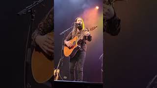 Clips from Avi Kaplan’s Feel Alright tour 2024 in Charlotte NC on May 17 [upl. by Alit991]