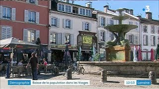 Vosges  une démographie inquiétante [upl. by Aicetel]