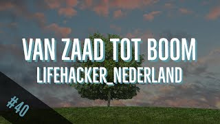 40 DIY appelboom kweken  VAN ZAAD TOT BOOM deel 1 [upl. by Paymar]