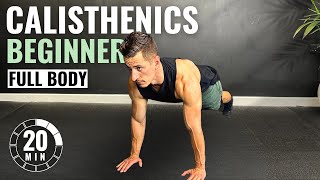 20 Min BEGINNER CALISTHENICS WORKOUT at Home  No Equipment [upl. by Ingunna]