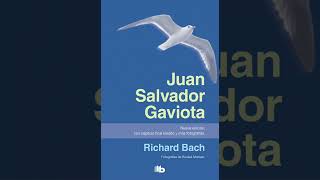 JUAN SALVAD0R GAVIOTA DE RICHARD D BACH [upl. by Secor]