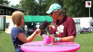 DWZRV  Sighthound Festival 2014 [upl. by Elok]