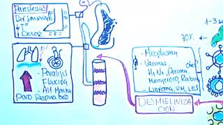 GUILLAIN BARRE Etiopatogenia Fisiopatología Diagnóstico Tratamiento [upl. by Eilac48]