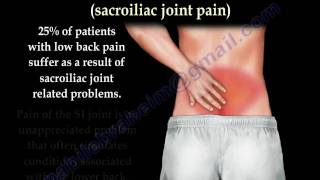 Sacroiliac Joint pain and dysfunction  Everything You Need To Know  Dr Nabil Ebraheim MD [upl. by Marucci]