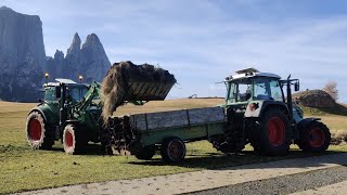 Mistausbringung im Herbst🍂⛰️  2×Fendt  Landtechnik Südtirol [upl. by Rad707]