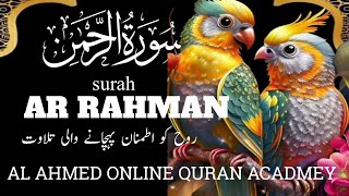 Surah AR Rahman surah ar rahman ki tilawat by Alahmed online qurah academy [upl. by Oelgnaed]