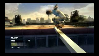 Skate it  PC  Running on Dolphin emulator 720p Full Speed And tutorial how to get it [upl. by Anomahs249]