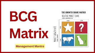 BCG Matrix in Hindi Examples BCG Matrix Model Strategic Management [upl. by Ameehsat]