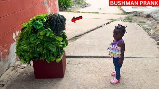 😂😂😂 She Suspects This Flower BUSHMAN PRANK 2024 [upl. by Nicholl241]