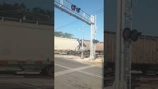 Up railcars and northern western and csx railcar and lumber at Galveston sub railfan [upl. by Cappella]