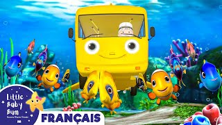 Les Roues de lAutobus sous lOcéan  Comptines et Chansons pour Bébés  Little Baby Bum en Français [upl. by Marlee]