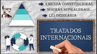 Tratados Internacionais de Direitos Humanos [upl. by Bradan]