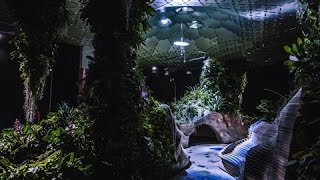 A Trial Run for the Lowline Worlds First Underground Park [upl. by Keverne]