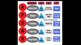 समझे APGAR SCORE हिंदी मेंAPGAR Score ANMNursinglets study by Sandhyanursing [upl. by Barton]