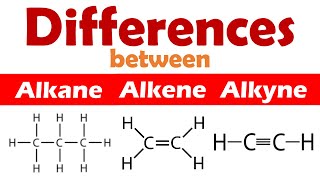 Differences Between Alkane Alkene and Alkyne [upl. by Winnifred]