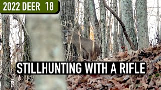 STILLHUNTING TIPS  Stalking Hill Country Deer in Crunchy Leaves [upl. by Eirojram]