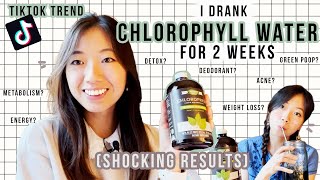 Chlorophyll Water for 2 Weeks Results  How to Lose Weight Clear Acne Rid Body Odor Naturally [upl. by Gnaig]