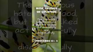 Wise Sayings of Solomon  Proverbs 135 [upl. by Islean825]