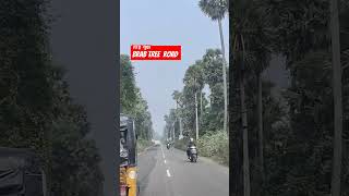 Palmyra tree and uses  Taal trees and villages  Araku road  youtube shorts 🤗🏝️ [upl. by Ailenroc]