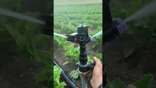 Digital advance farming shorts agriculturemodernfarmeryoutbeshortsnoamanreactioncropmanagement [upl. by Vail370]