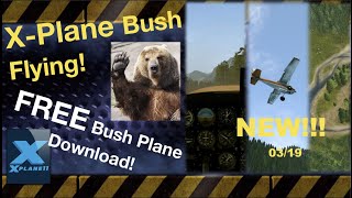 XPlane 11 Bush Flying [upl. by Attenol]