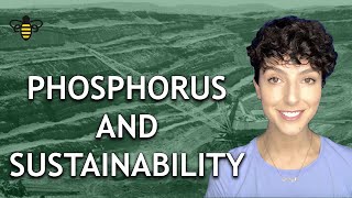 Phosphorus and Sustainability Ingredients Needed for Life [upl. by Inah]