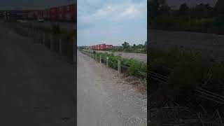 CP 6255 Working At Vaughan Intermodal Terminal VIT In Vaughan Ontario 080424 [upl. by Nnaaihtnyc]