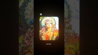 શરદ પુનમની રાતડી રે😍🙇🙏🏻 navratrispecial sharadpunam navratrigarba 2024navratri explore [upl. by Nagle473]