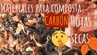 🍂dónde conseguir HOJAS SECAS para COMPOSTA 🍁 Huerto urbano  materiales para composta CARBÓN 1 [upl. by Rednijar]