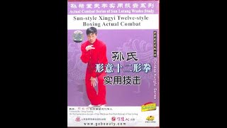 SUN style XING YI  12 Animals Combat Part 1 [upl. by Damita126]