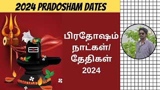 2024 பிரதோஷம் நாட்கள்  Pradosham Dates 2024  Pradosh Vrat 2024 Dates  Digital Naveen [upl. by Anwahsiek]