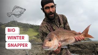 BIG SNAPPER Off The Rocks  Coromandel [upl. by Paynter]