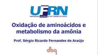 Curso de Bioquimica Oxidação de aminoácidos e ciclo da uréia [upl. by Harrington]