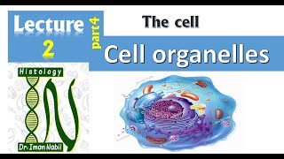 2dCell organelles part4Mitochondria and peroxisomeCellHistology [upl. by Freddy]